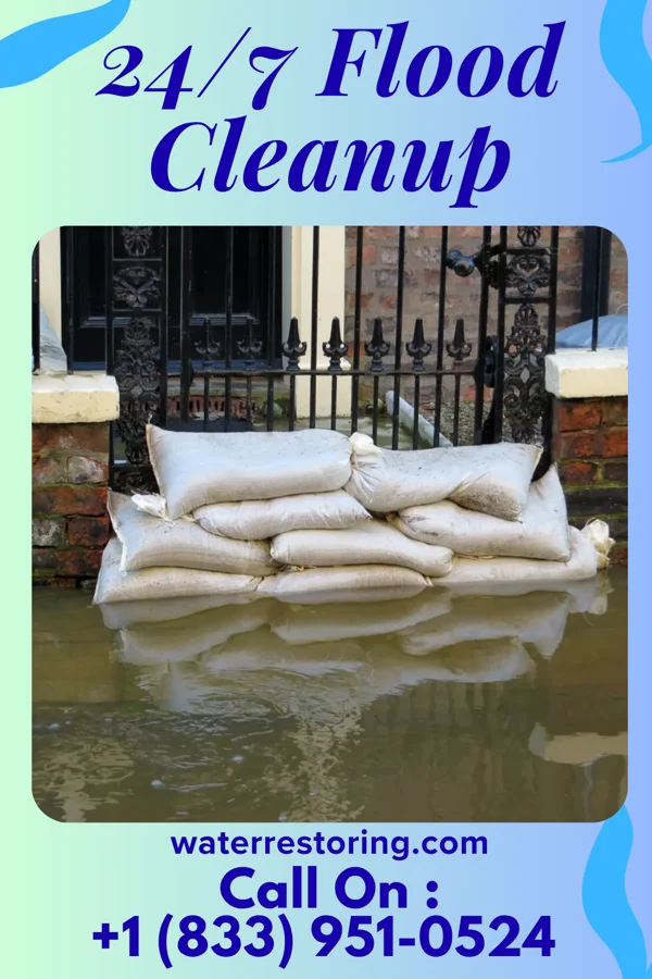 24/7 Flood Cleanup in Pleasant City, OH