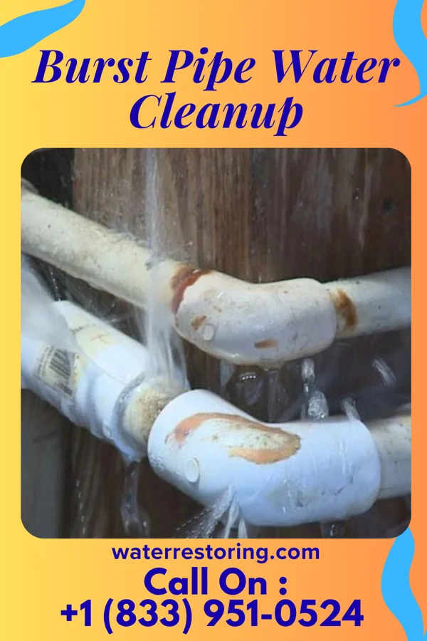 Burst Pipe Water Cleanup in Pleasant City, OH
