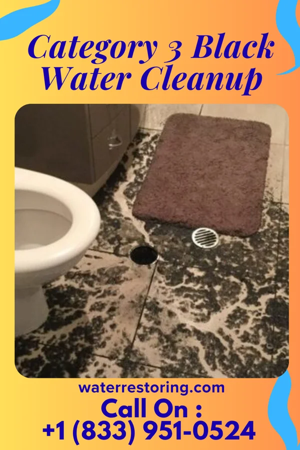 Category 3 Black Water Cleanup in Pleasant City, OH