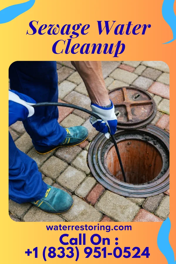 Sewage Water Cleanup in Pleasant City, OH