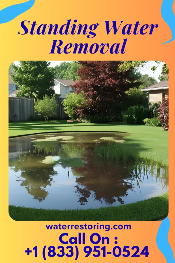 Standing Water Removal in Pleasant City, OH